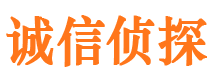 南澳市调查公司